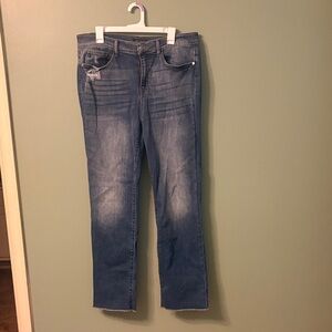 Judy Blue Straight Leg Denim Jeans